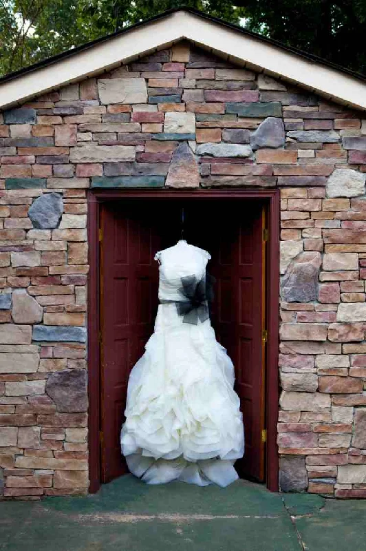Vera Wang Vera Wang / Organza Fit and Flare Style VW351011Huge Price Cuts Await!